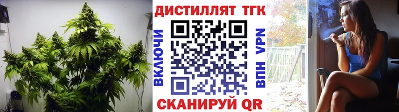 Дистиллят ТГК концентрат  где купить наркоту  Волосово 