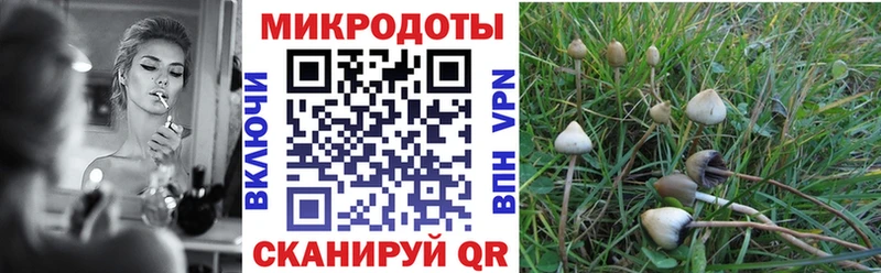 blacksprut ONION  Волосово  Галлюциногенные грибы Psilocybine cubensis  купить наркотик 